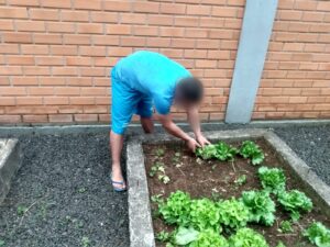 Leia mais sobre o artigo ADOLESCENTES REFORÇAM PLANTIO NA HORTA DO CASEP DE CAÇADOR
