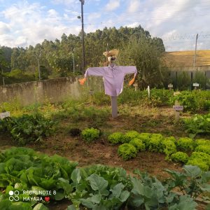 Leia mais sobre o artigo ESPANTALHOS PARA A HORTA NO CASEP DE RIO DO SUL