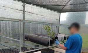 Leia mais sobre o artigo PREPARAÇÃO DE TERRA NO CASEP DE RIO DO SUL